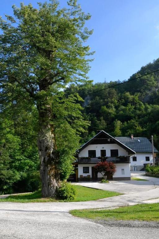 Apartma Pri Lipi Bohinj Exterior photo
